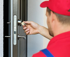 Insektenbekämpfung mit Xattack